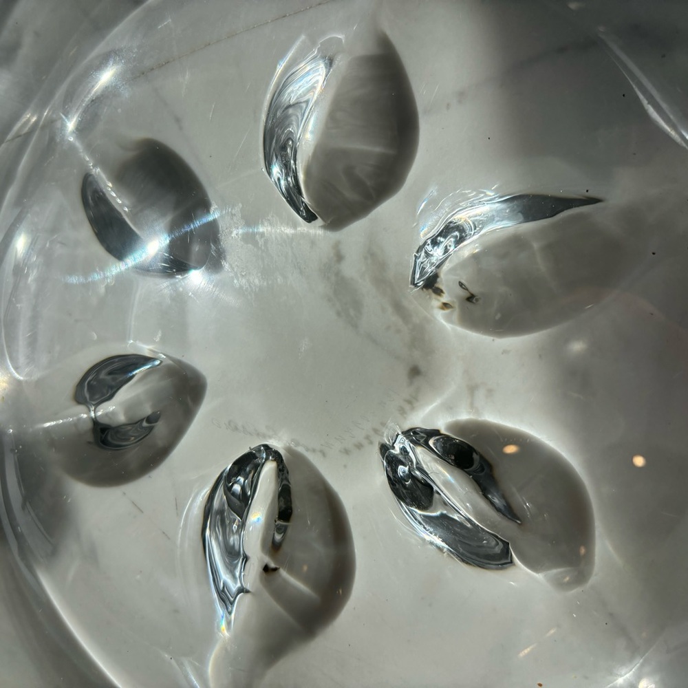 Orrefors Kosta Boda Floral Leaf Crystal Glass Decorate Plate